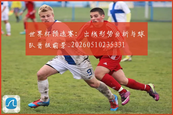 世界杯预选赛：出线形势分析与球队晋级前景_20260510235331