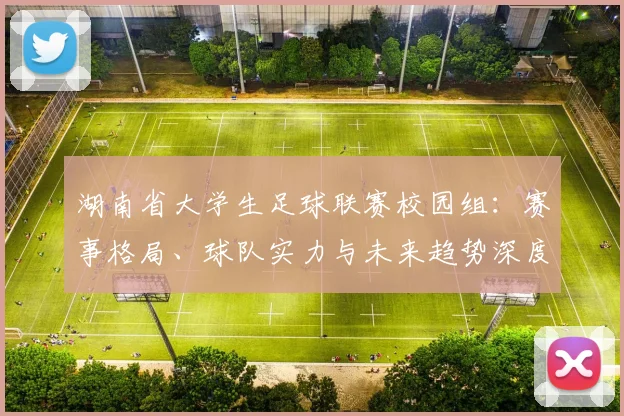 湖南省大学生足球联赛校园组:赛事格局、球队实力与未来趋势深度解析